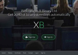 X-Binary