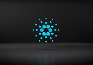 CARDANO(カルダノ) ADACoin(エイダコイン)