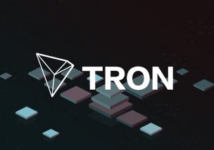TRON(トロン) Whitepaper(ホワイトペーパー) 盗用 問題
