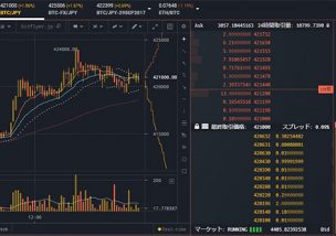 Bitcoin(ビットコイン) fx SFD 稼ぐ 方法 仕組み