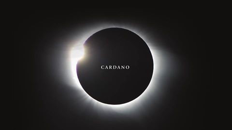 CARDANO（カルダノ） ADACoin（エイダコイン）