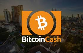 BitcoinCash（ビットコインキャッシュ）　仮想通貨
