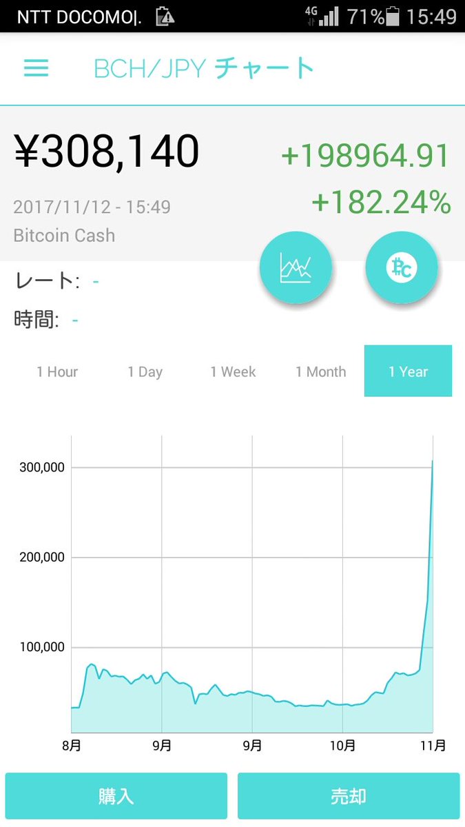 Bitcoin Cash（ビットコインキャッシュ）　30万円