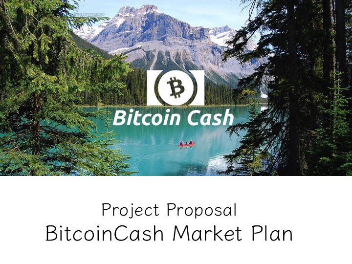 BitcoinCash（ビットコインキャッシュ） ３月 好材料　BitcoinCash Market