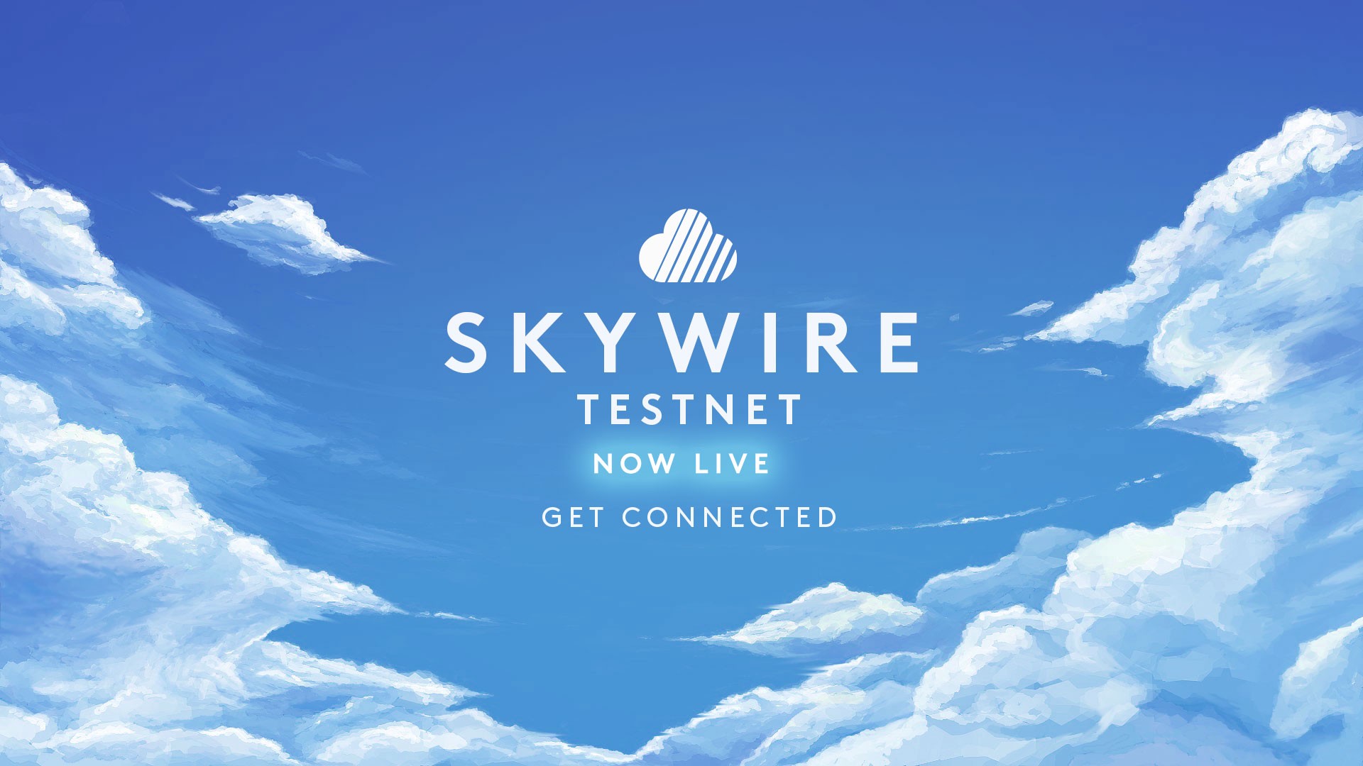 Skycoin（スカイコイン）　Skywire　テストネット