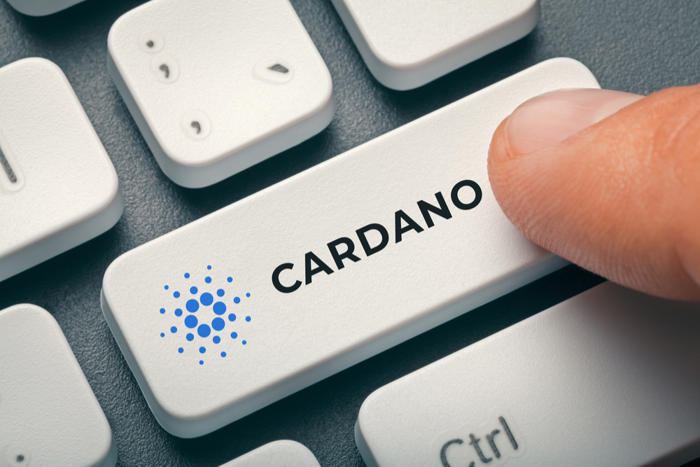 Cardano（カルダノ）　スペシャルアナウンスメント　公開
