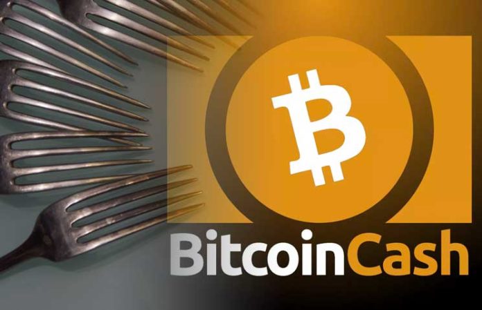 BitcoinCash（ビットコインキャッシュ）　11月15日　ハードフォーク