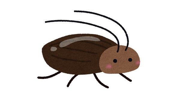 タイ　日本　違い　ゴキブリ　ネズミ