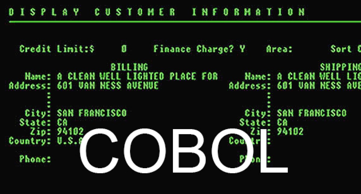 勤労統計　問題　原因　COBOL（コボル）　バグ