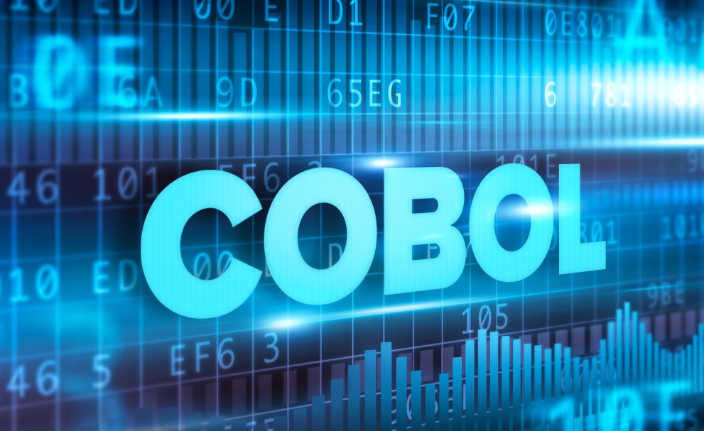 勤労統計　問題　原因　COBOL（コボル）　バグ