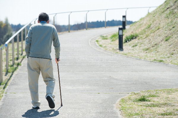 日本　2024年　3人に1人　65歳以上